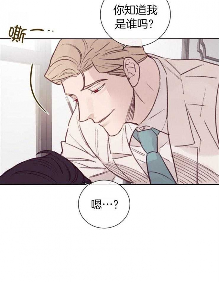 马尔赛皇家狗粮好不好漫画,第11话1图