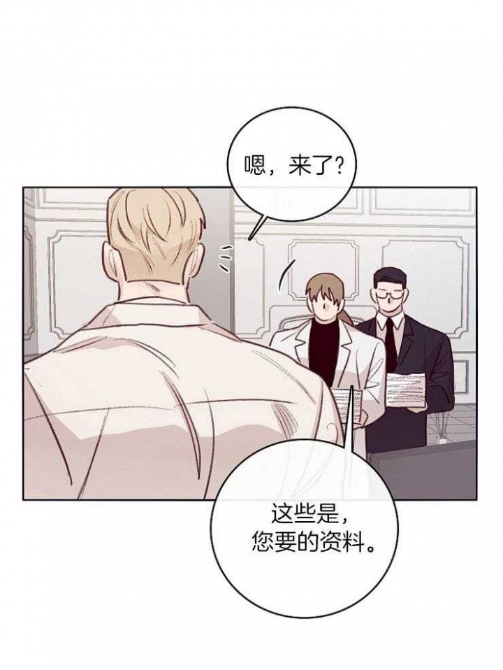 玛尔赛乳胶漆怎么样漫画,第9话2图