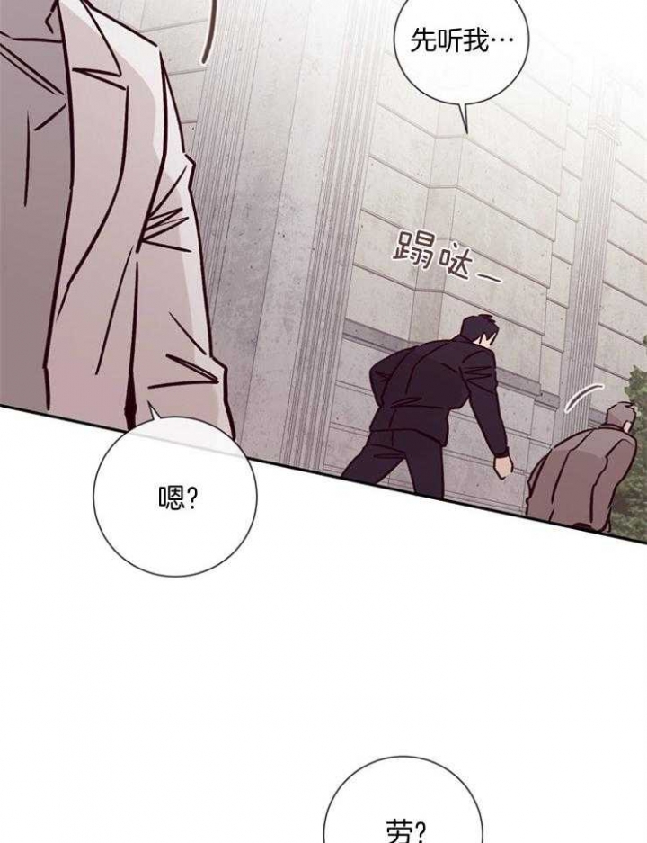 玛尔赛乳胶漆的特点漫画,第46话2图