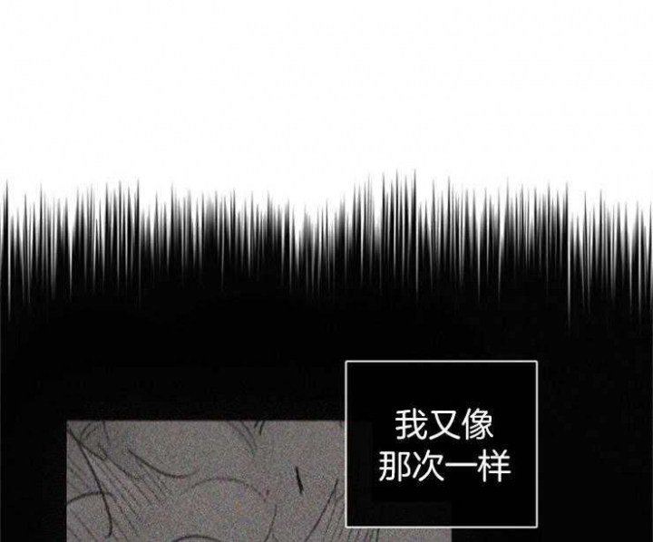 马尔赛皇家狗粮好不好漫画,第4话1图