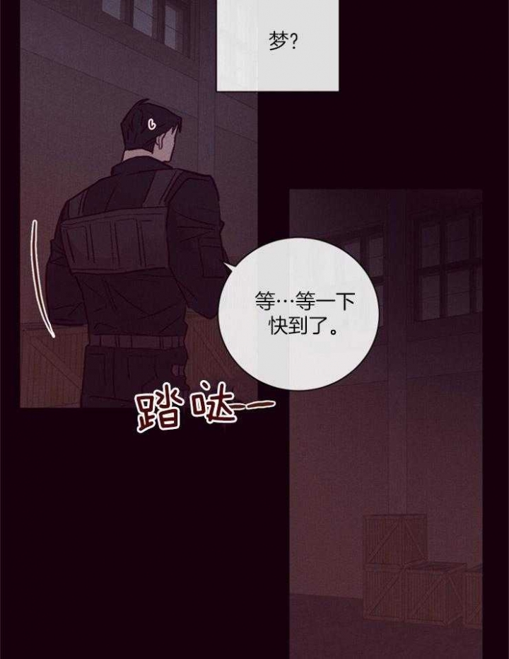 马尔赛皇家狗粮好不好漫画,第23话1图