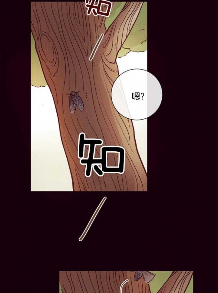 马尔赛漫画免费观看下拉漫画,第27话2图