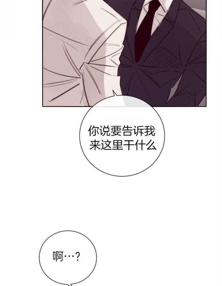 马尔赛是什么意思网络用语漫画,第11话1图