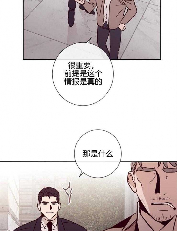 马尔赛斯人口论漫画,第46话1图