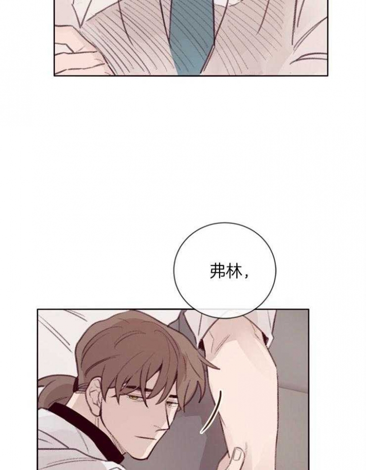 马尔赛皇家狗粮好不好漫画,第13话1图