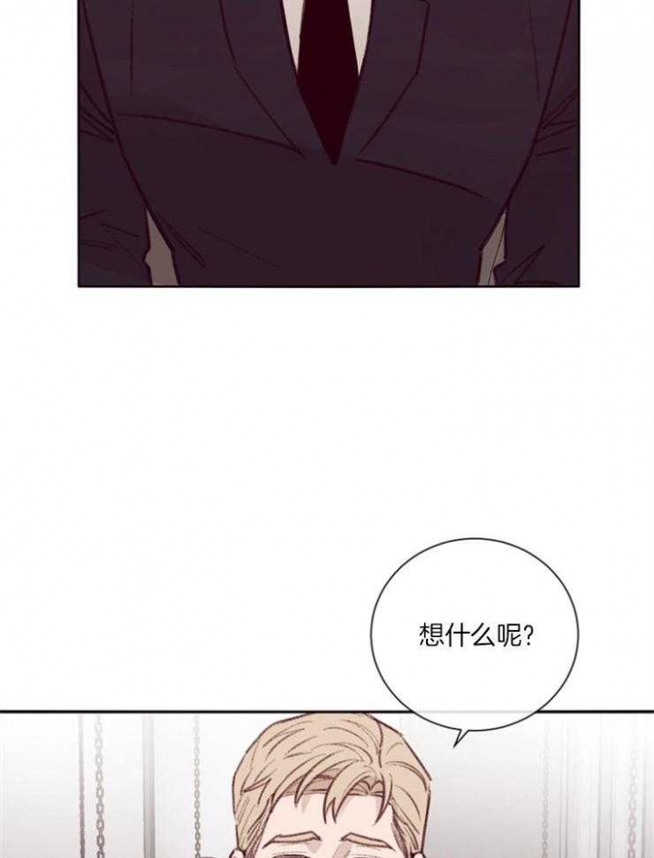 玛尔赛乳胶漆怎么样漫画,第20话2图