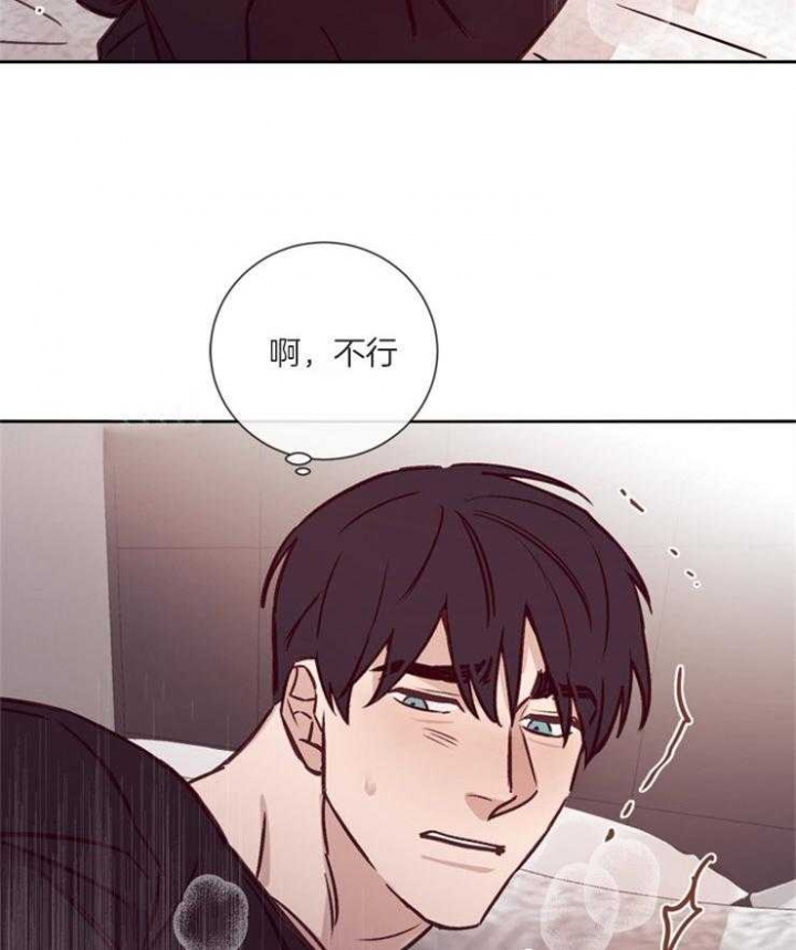 马尔赛皇家狗粮好不好漫画,第39话1图