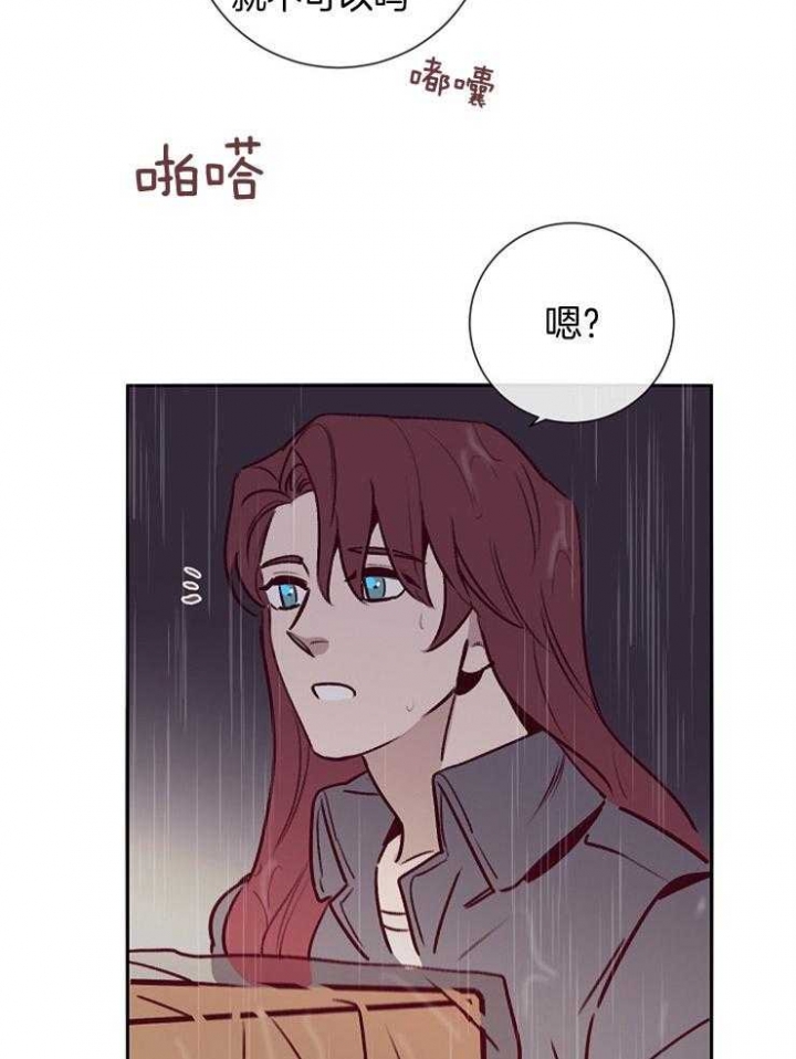 马尔赛皇家狗粮好不好漫画,第56话1图