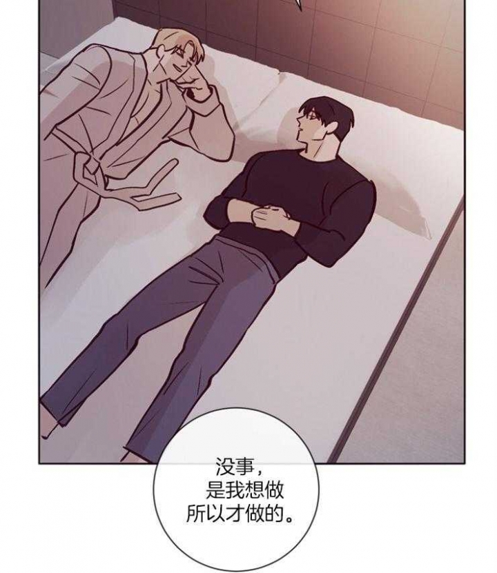 马尔赛皇家狗粮好不好漫画,第23话2图