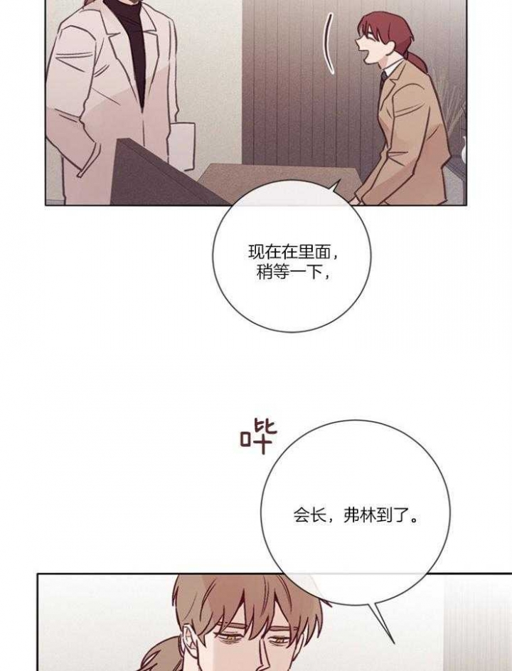 马尔赛皇家狗粮好不好漫画,第33话1图