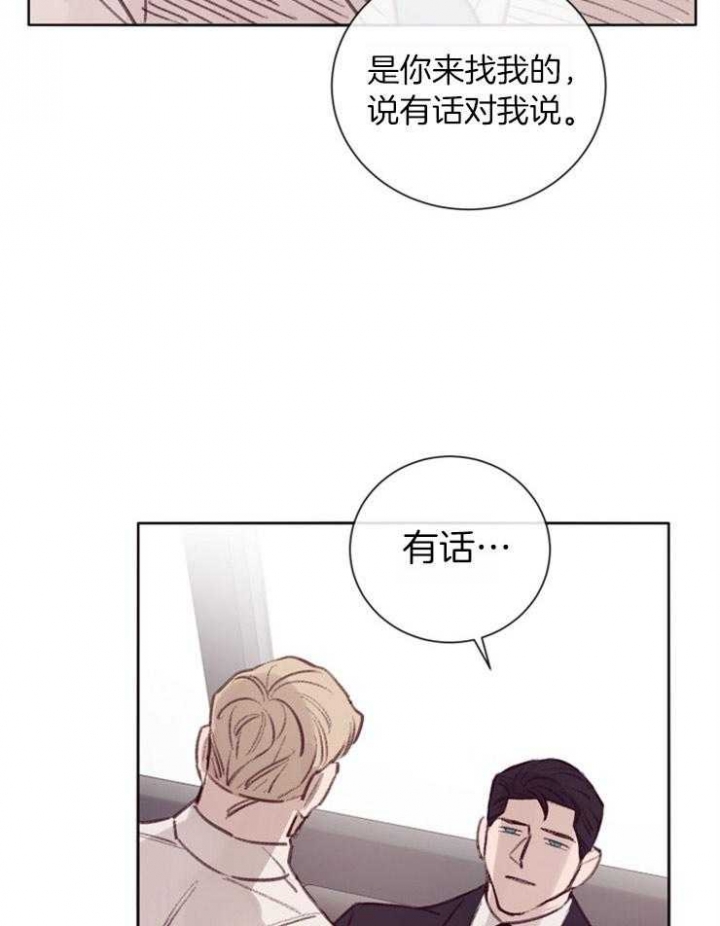 马尔赛皇家狗粮好不好漫画,第11话2图