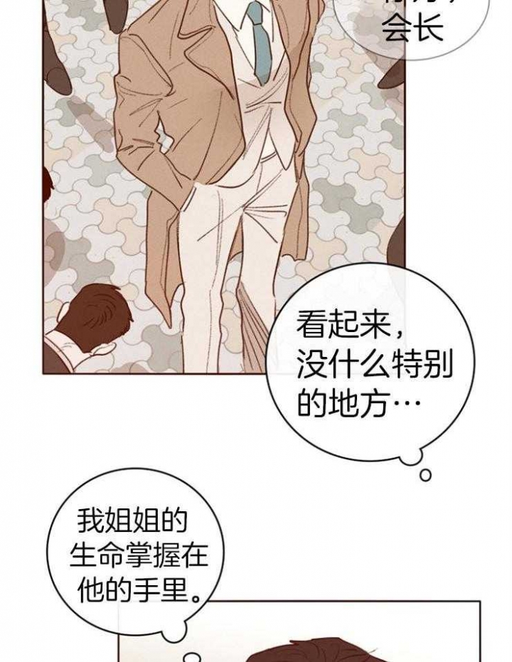 马尔赛皇家狗粮好不好漫画,第6话1图