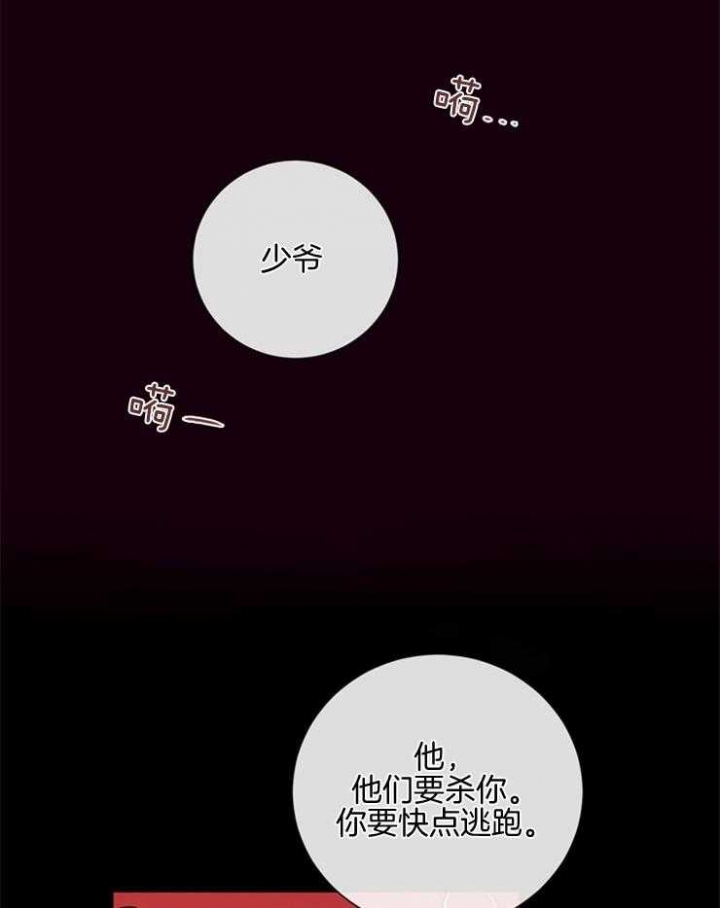 马尔赛皇家狗粮好不好漫画,第45话1图