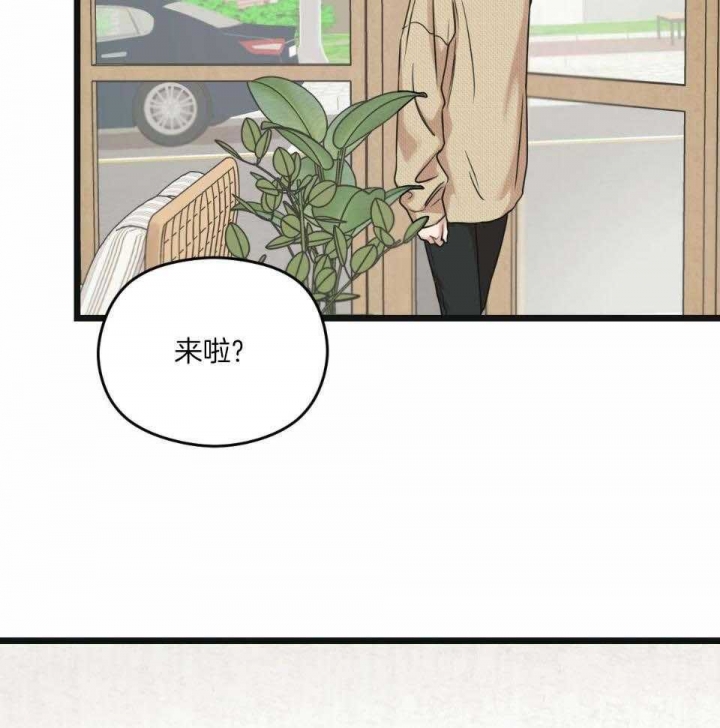 邂逅的意思最佳答案漫画,第37话1图