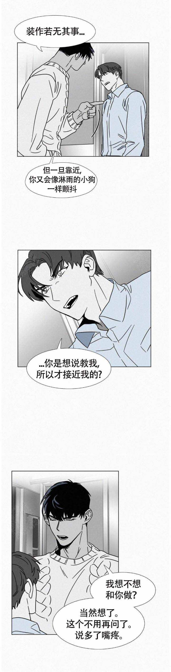 疯狂而美丽免费漫画漫画,第16话1图