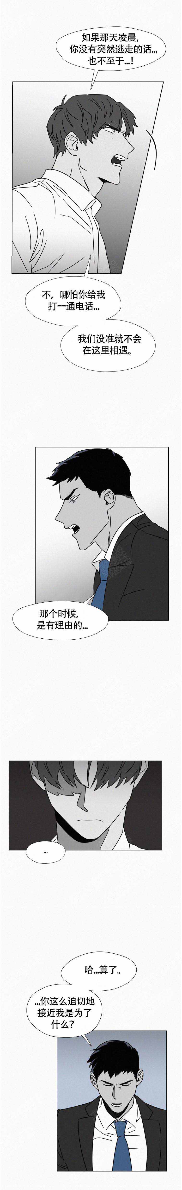 疯狂而美丽免费漫画漫画,第11话2图