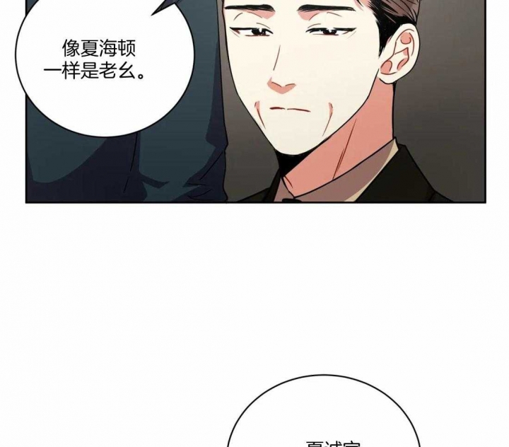 癫狂之境漫画免费下拉漫画,第96话1图