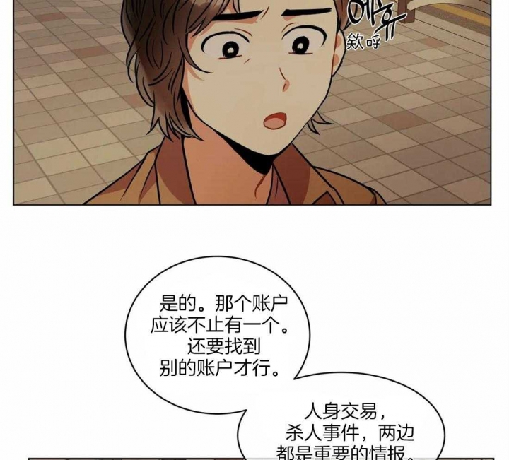 癫狂之境漫画免费完整版漫画,第52话1图