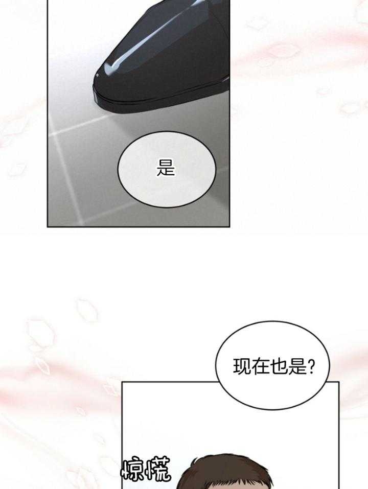 物种起源韩漫未删减吞冰块哪章节漫画,第65话1图