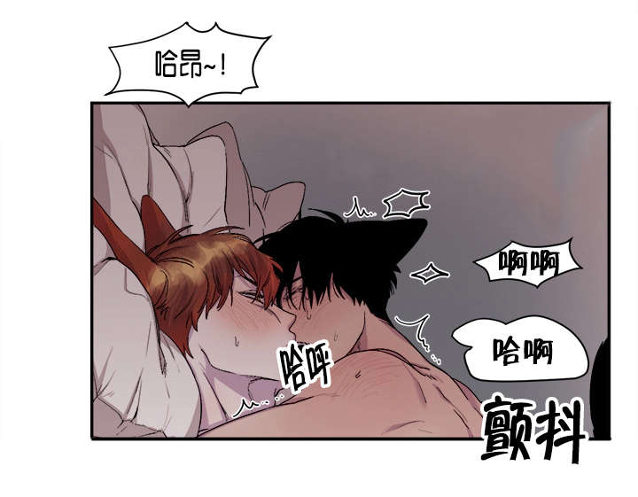 狐狸的天性漫画,第26话2图