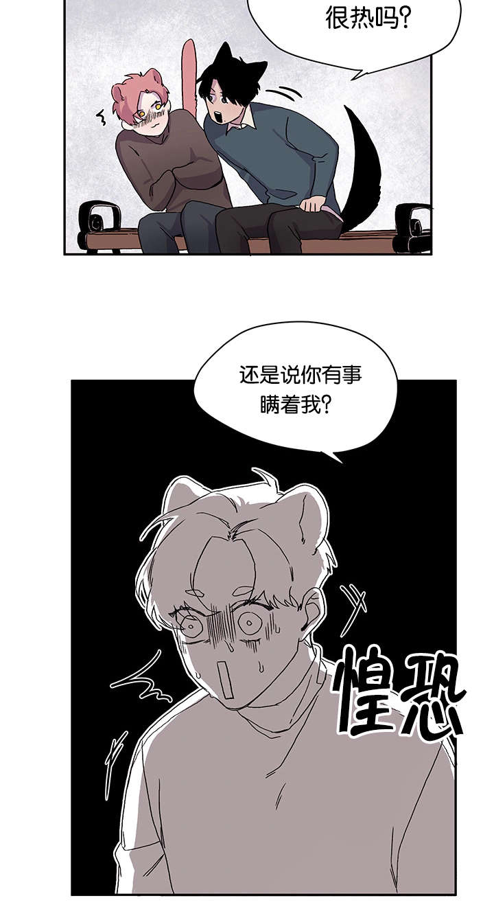 狐狸的天性有哪些漫画,第21话1图