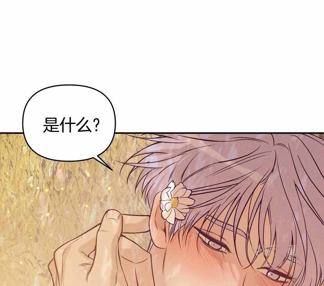珍珠少年完整版在哪里看漫画,第167话2图
