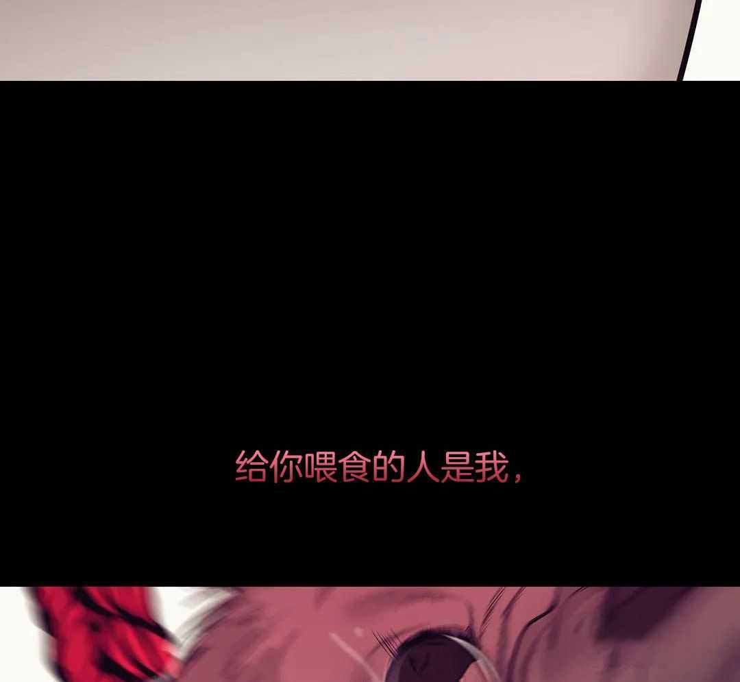 珍珠少年完整版在哪里看漫画,第154话2图