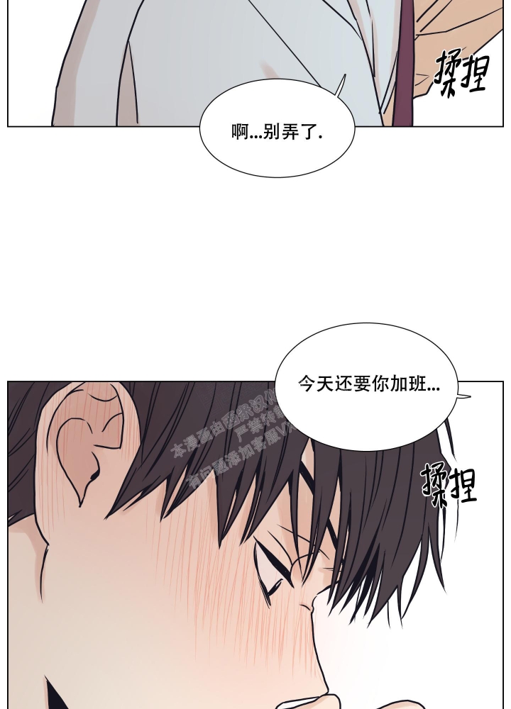 金代理的规则漫画,第4话2图