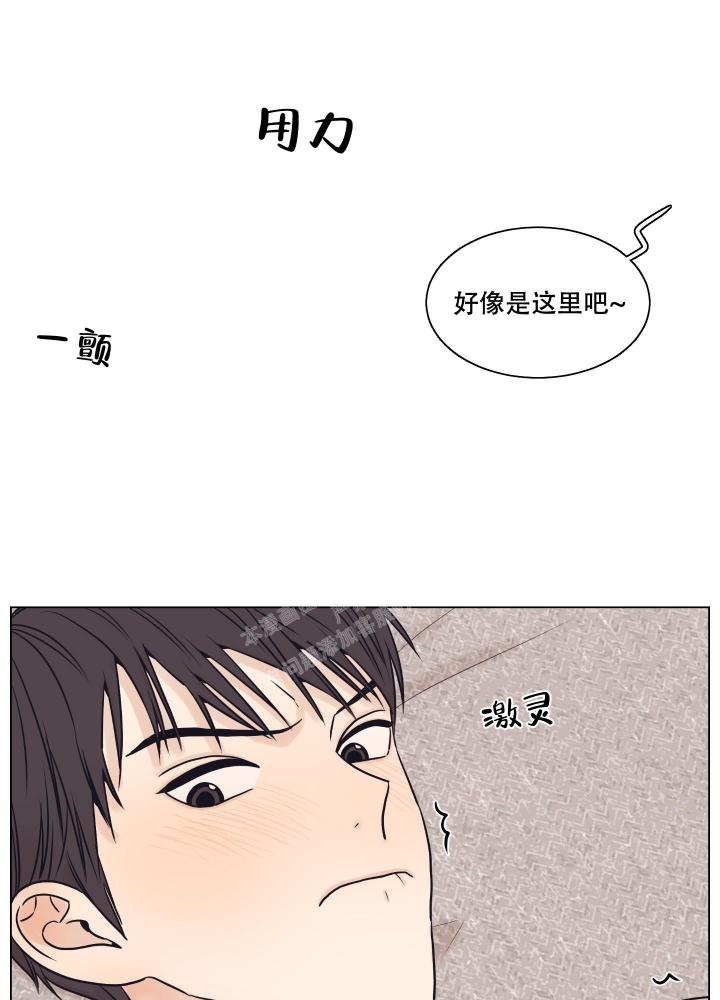 金代理的规则漫画,第13话1图