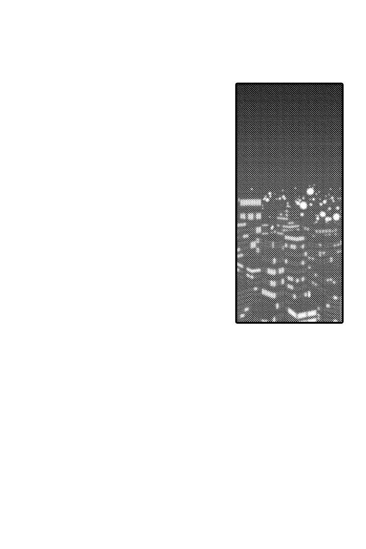 伊甸园的秘密是意大利的品牌漫画,第2话1图