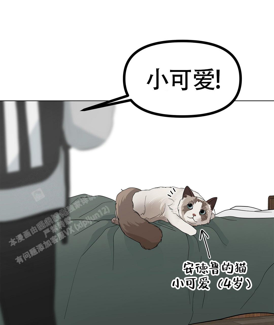 离陆家嘴近的区漫画,第16话2图