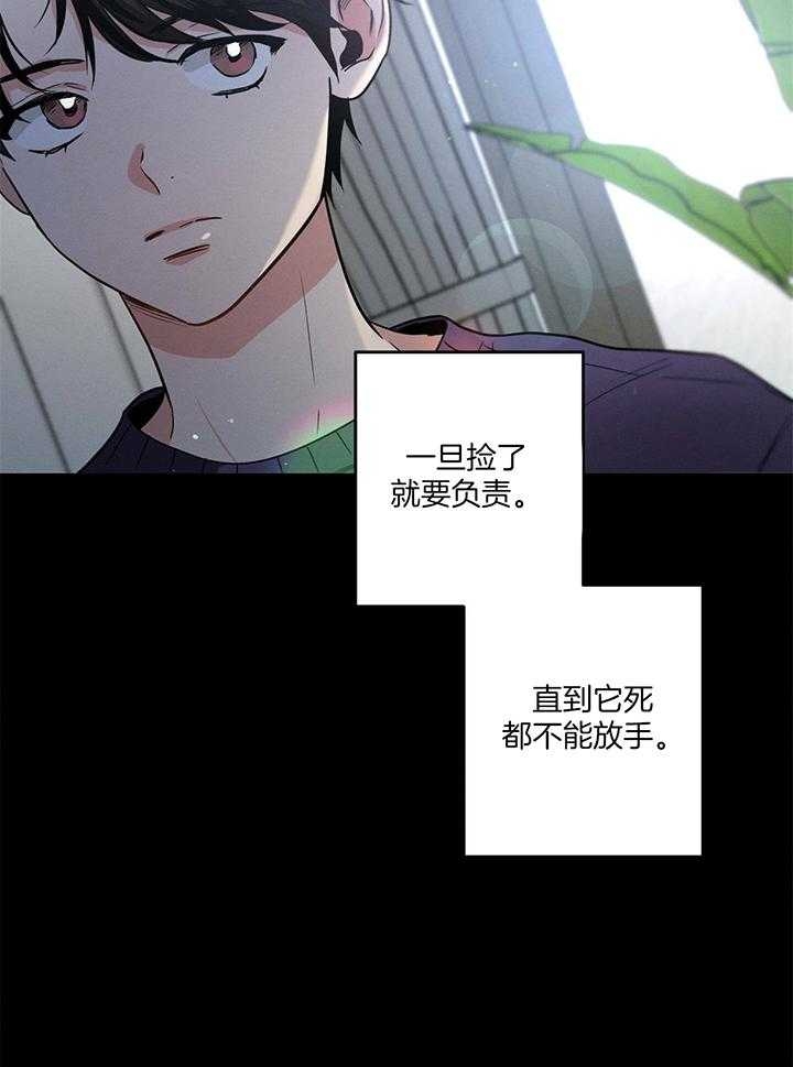 别有用心的恋爱史完整漫画,第88话2图