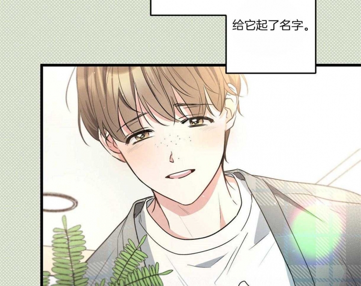 别有用心的恋爱史免费观看漫画,第61话1图
