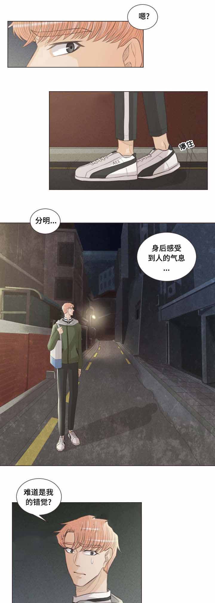 吸血鬼和人的区别漫画,第52话1图