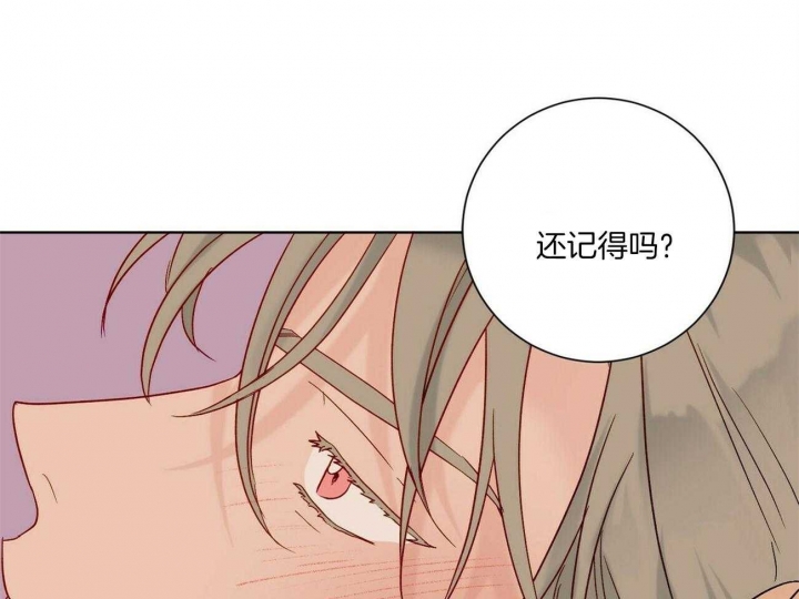 爱我吧，医生！漫画,第110话2图