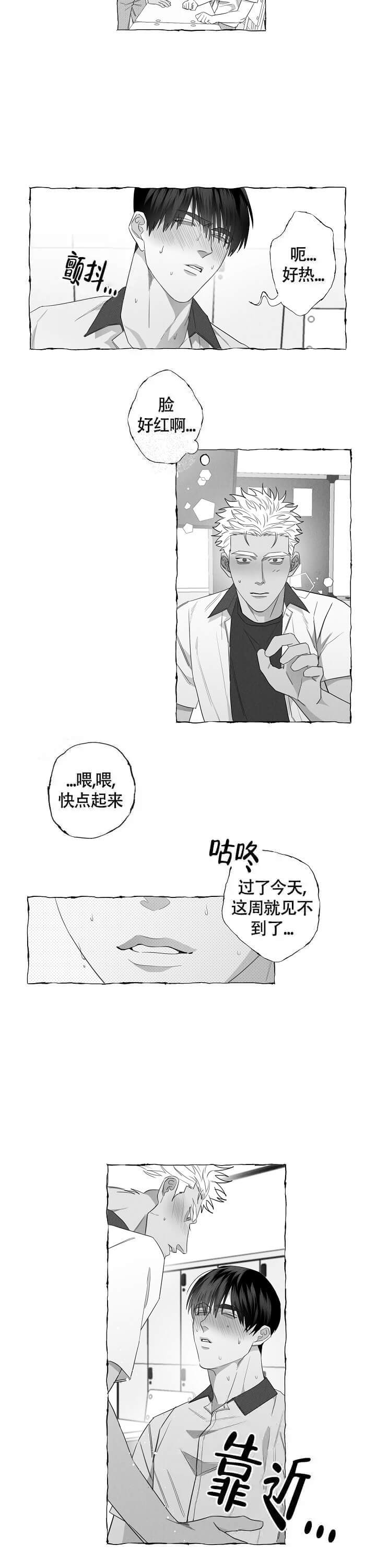 蝴蝶图片漫画,第12话1图