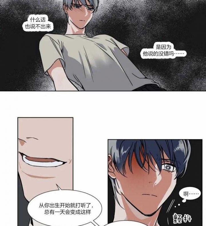 私人绯闻漫画,第81话1图