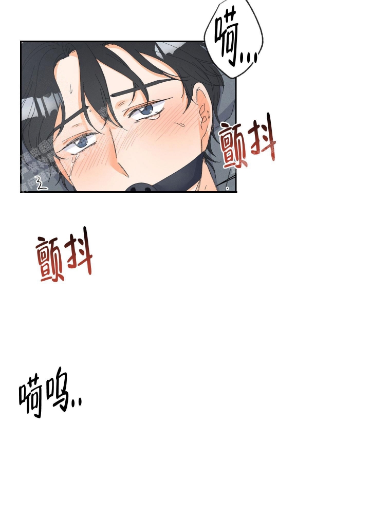 黄色进化免费阅读漫画,第106话2图