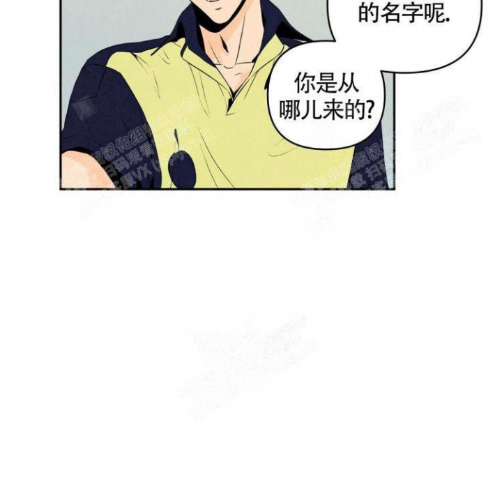 祝你好运怎么回复对方漫画,第16话2图