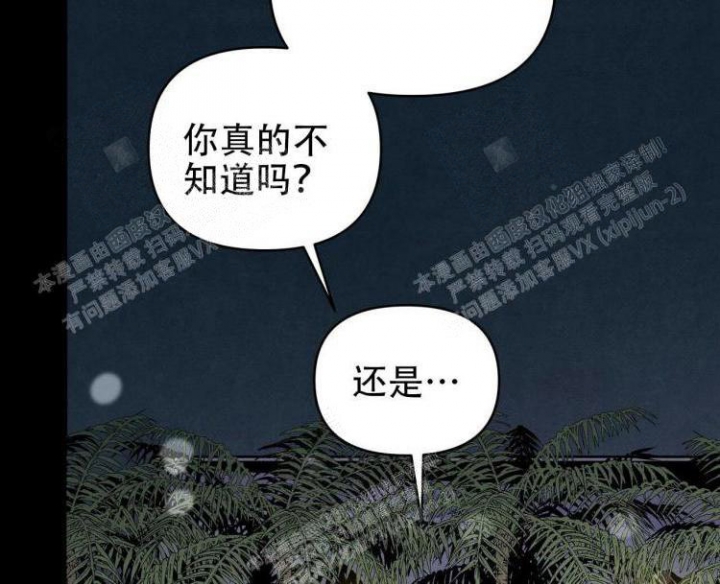 祝你好运是哪一年的歌漫画,第45话1图