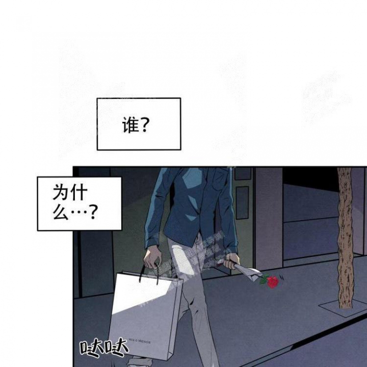 祝你好运漫画,第47话1图