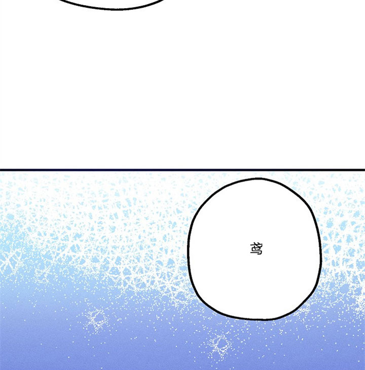 代号：迷雾漫画,第29话1图