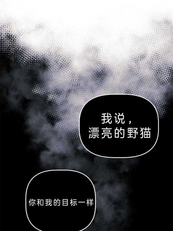 代号：迷雾漫画,第54话1图