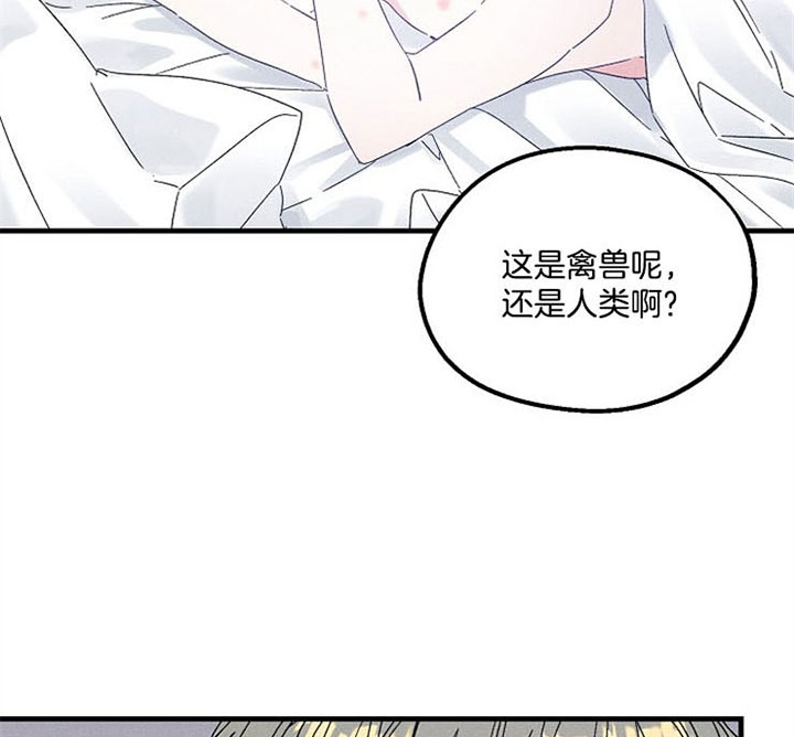 代号：迷雾漫画,第46话2图