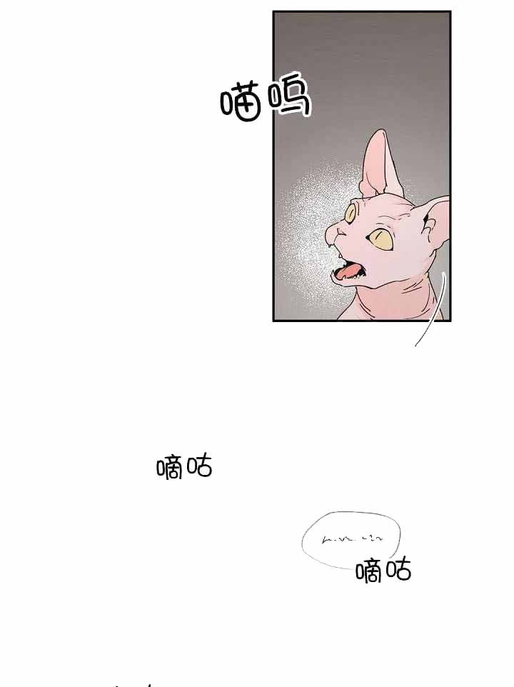 老板的小宝贝漫画下拉式酷漫屋漫画,第70话2图