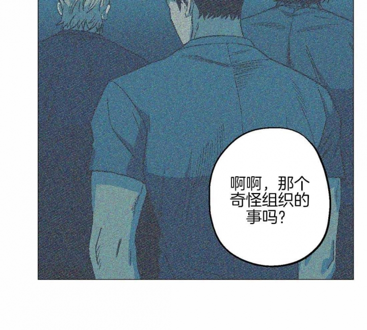 坠入爱河的杀手漫画免费非麻瓜漫画,第63话1图