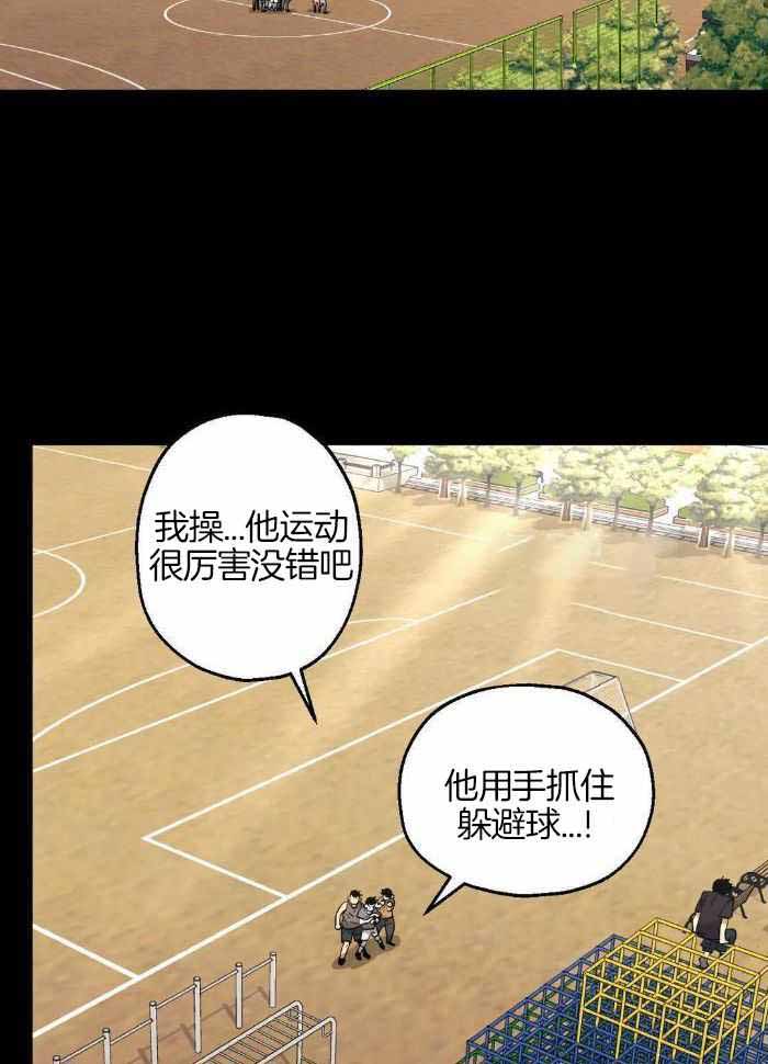 当杀手坠入爱河txt漫画,第79话1图