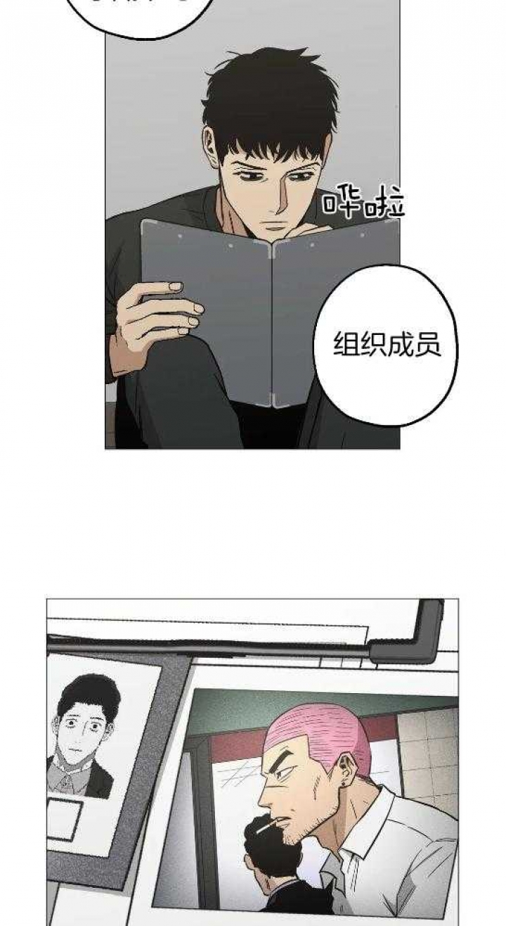 杀手坠入爱河实体书漫画,第48话2图