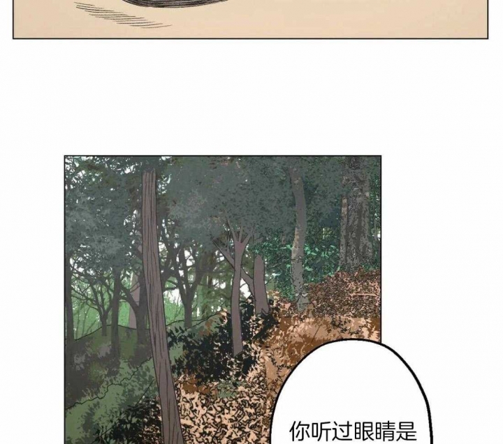 坠入爱河的台词漫画,第31话1图