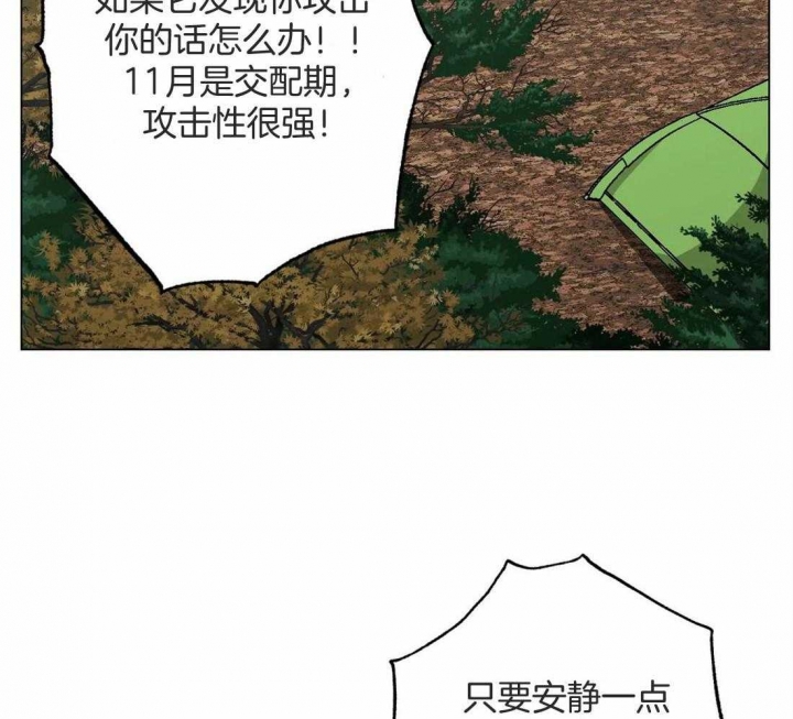 杀手坠入爱河漫画完整版漫画,第36话1图